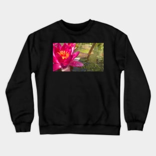 WaterLily Crewneck Sweatshirt